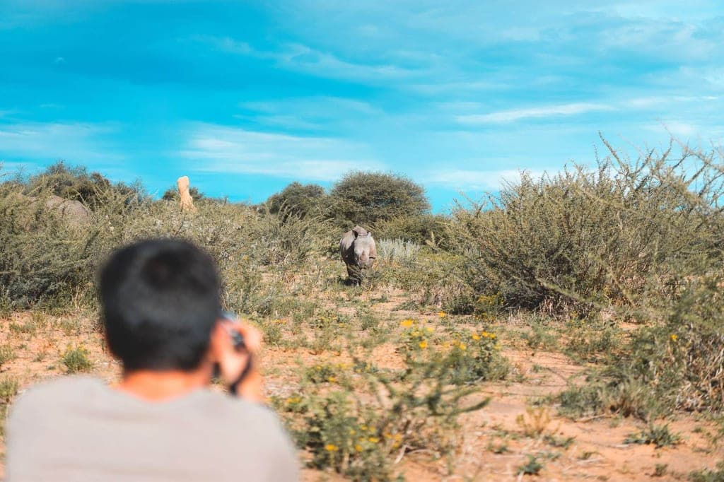 Unscharfer Fotograf filmt ein Nashorn in buschiger Steppe unter klarem blauem Himmel.