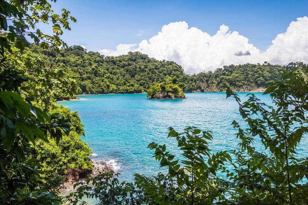 Blick von bewachsenem Ufer auf eine türkisfarbene Bucht mit kleiner Insel und blauem Himmel