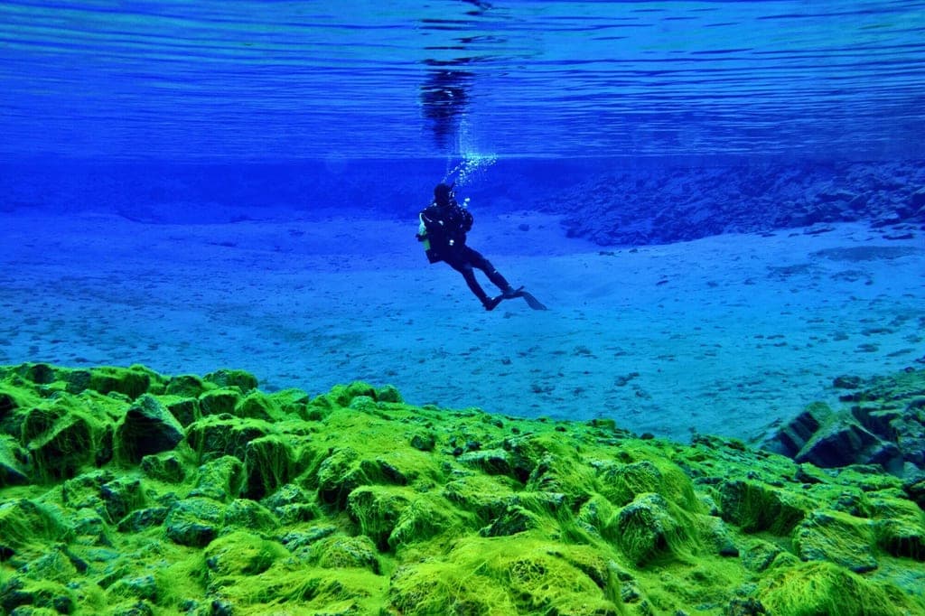 Unterwasserbild: Taucher nahe der Oberfläche, grün bewachsene Felsen im Vordergrund, ruhiger blauer Seegrund