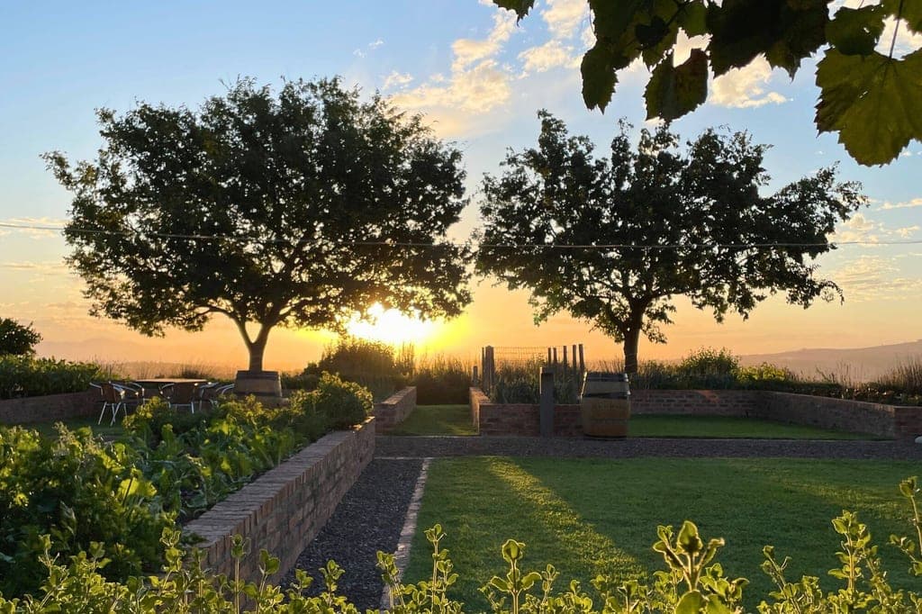 Gepflegter Garten mit zwei Bäumen und warmem Sonnenuntergangslicht
