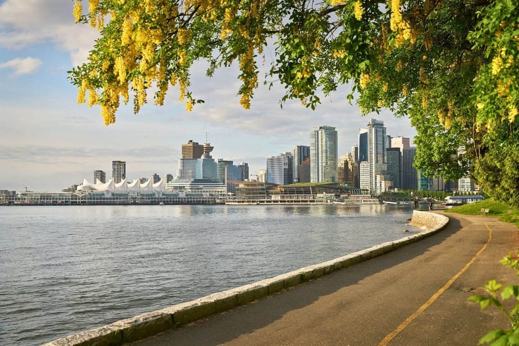 Uferweg mit gelben Blüten im Vordergrund und Stadt-Skyline über ruhigem Wasser
