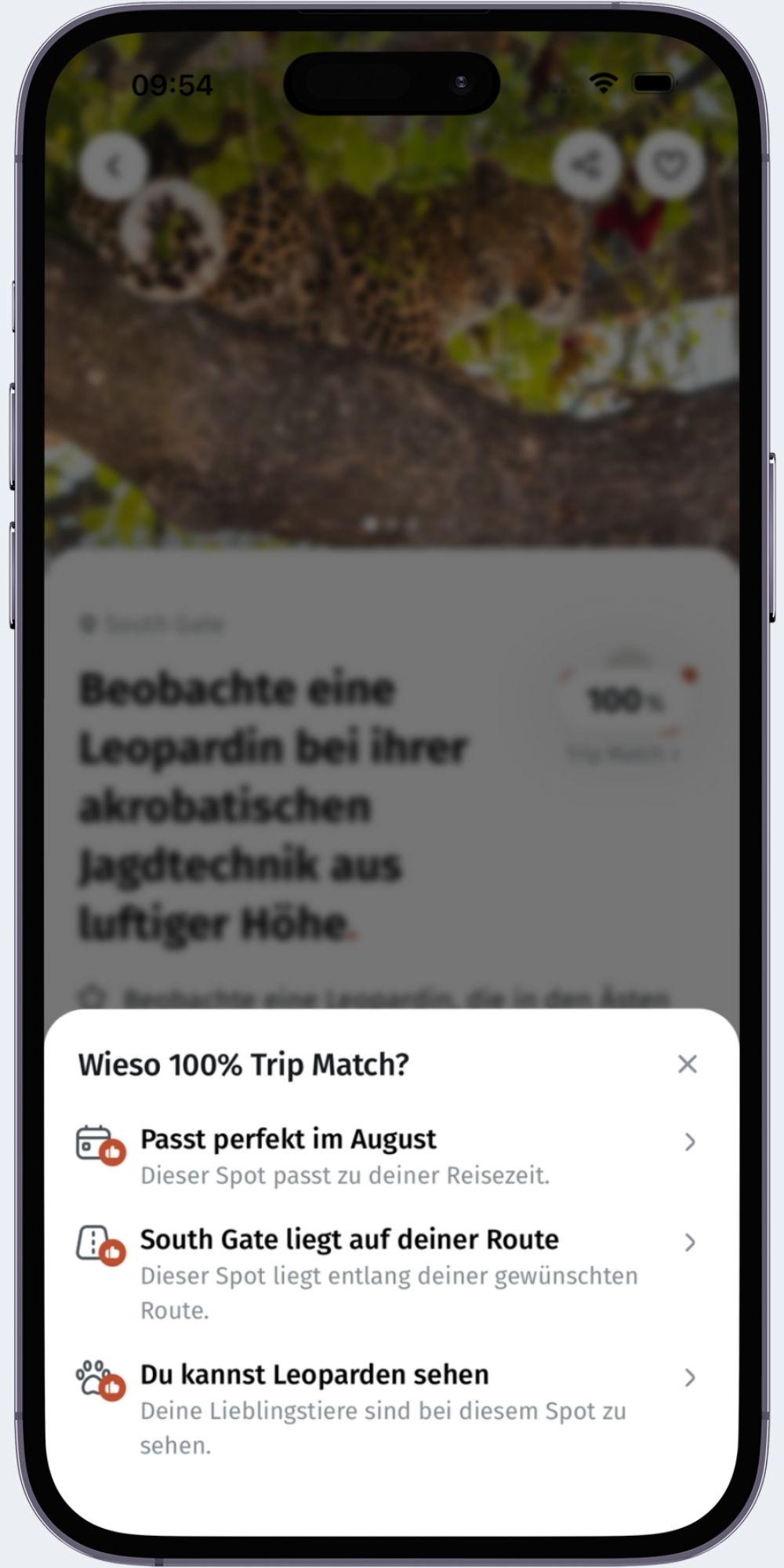 Trip Match in the app