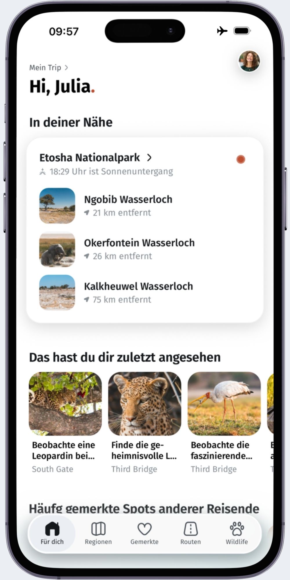 Offline mode of the app