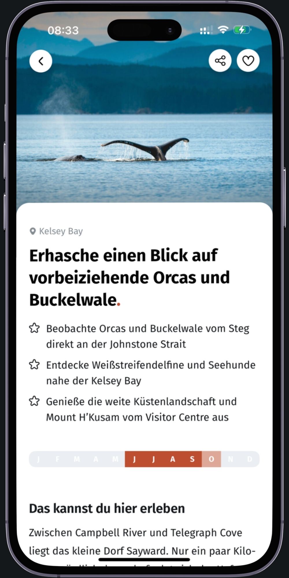 Plus activities in the app