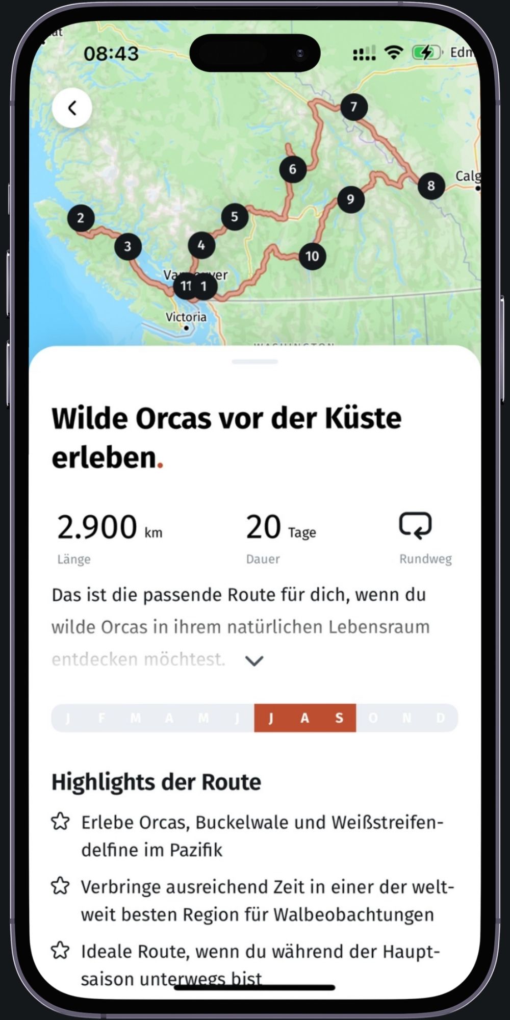 Ready-made route in the app