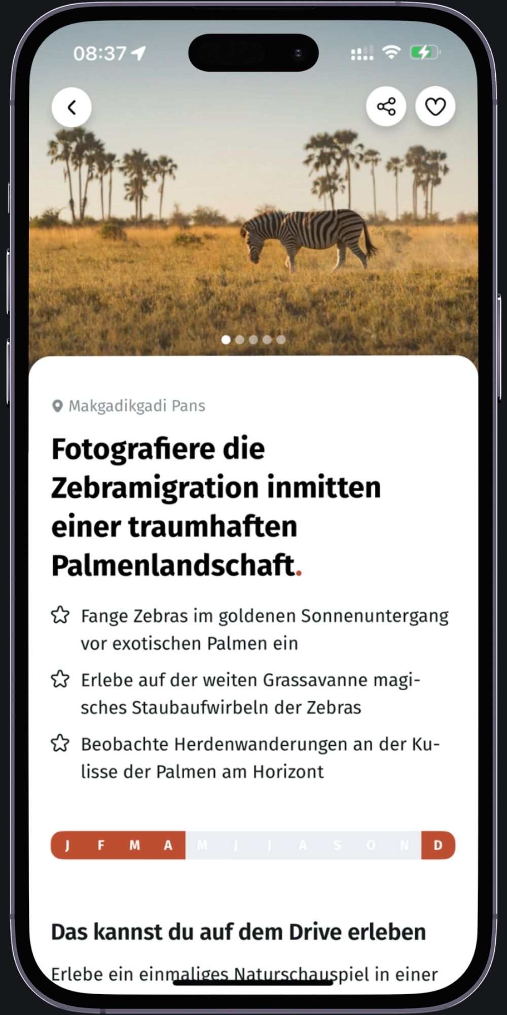 Wildlife seasons in the app