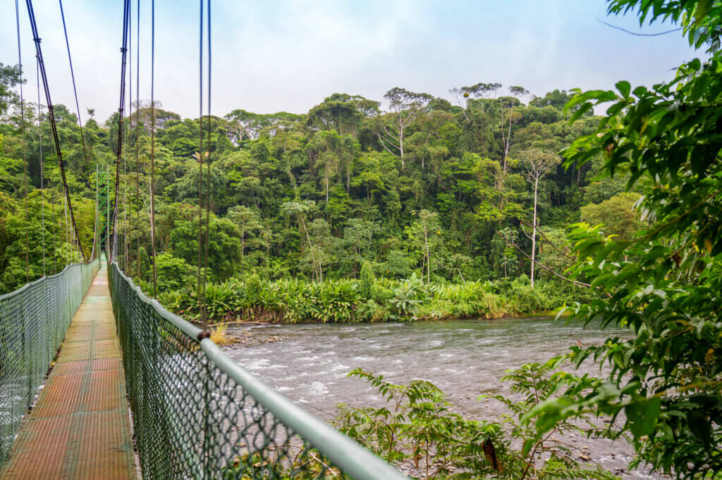 Puerto Viejo de Sarapiqui: Alles für deine Reiseplanung