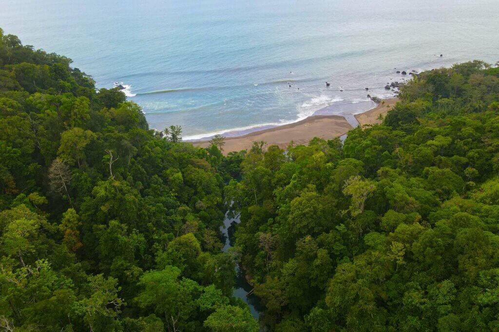 Drake Bay: Alles für deine Reiseplanung