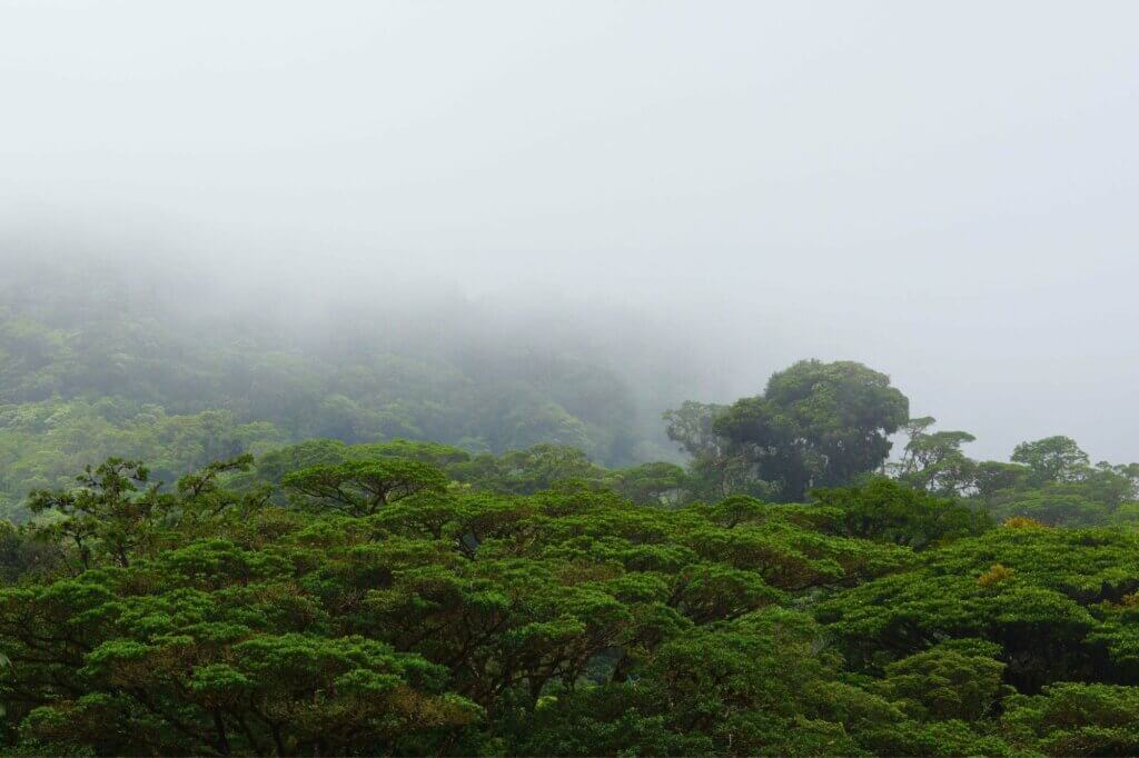 Monteverde: Alles für deine Reiseplanung