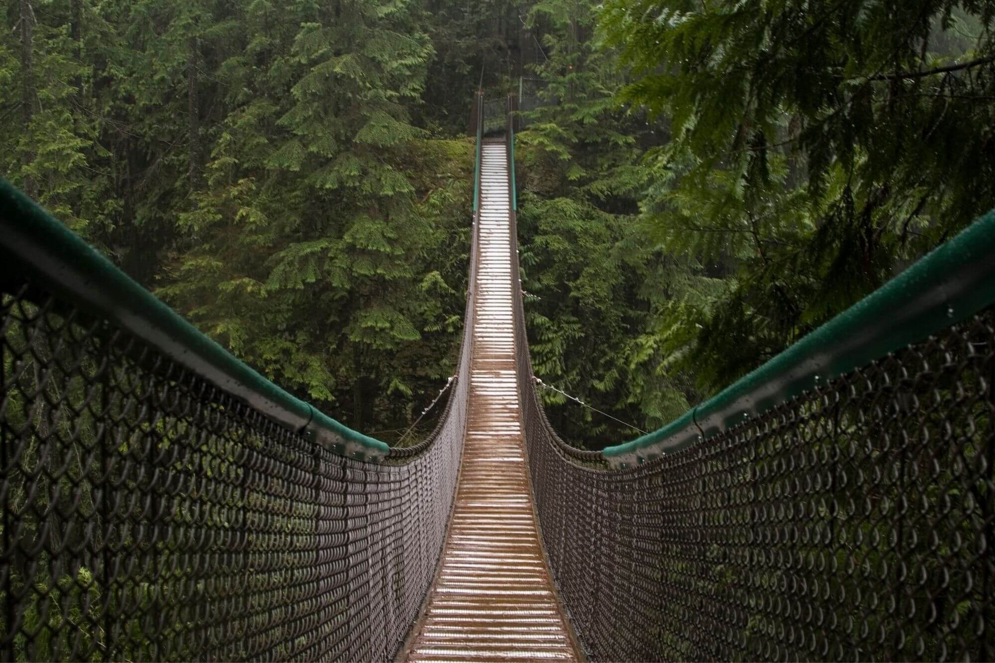 Lynn Canyon Suspension Bridge