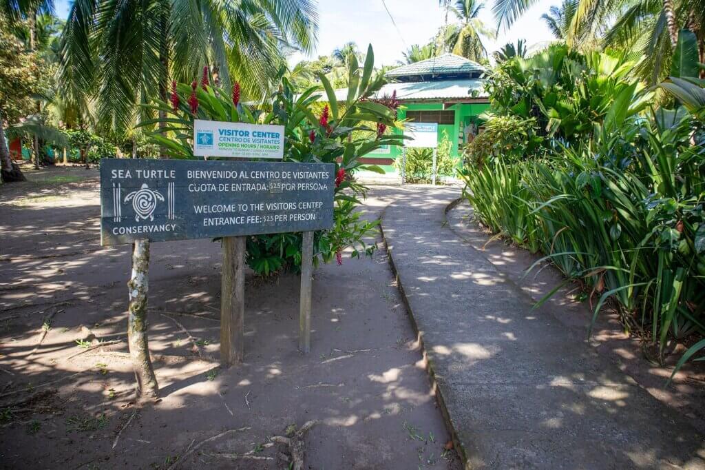 Entdecke, wie Schildkröten in Tortuguero geschützt werden