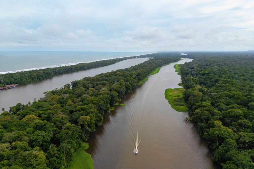Aussicht vom Cerro Tortuguero auf Kanäle, Regenwald und Meer