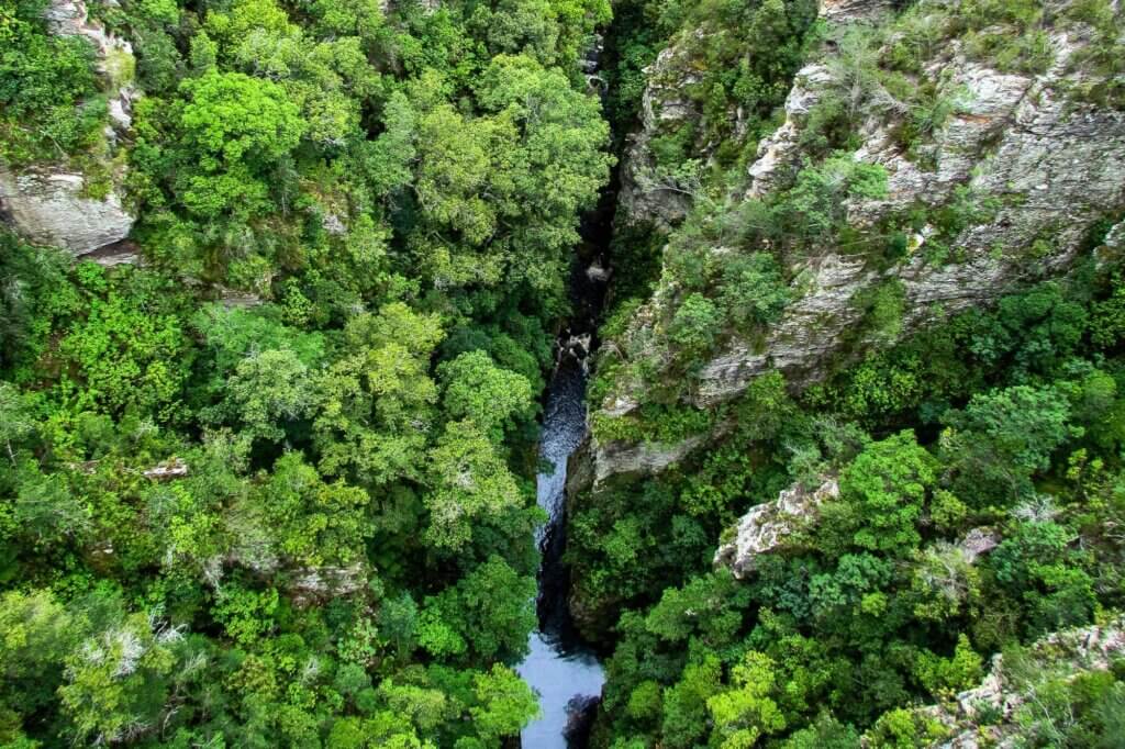 Paddle tief hinein in die stille Schlucht des Knysna River