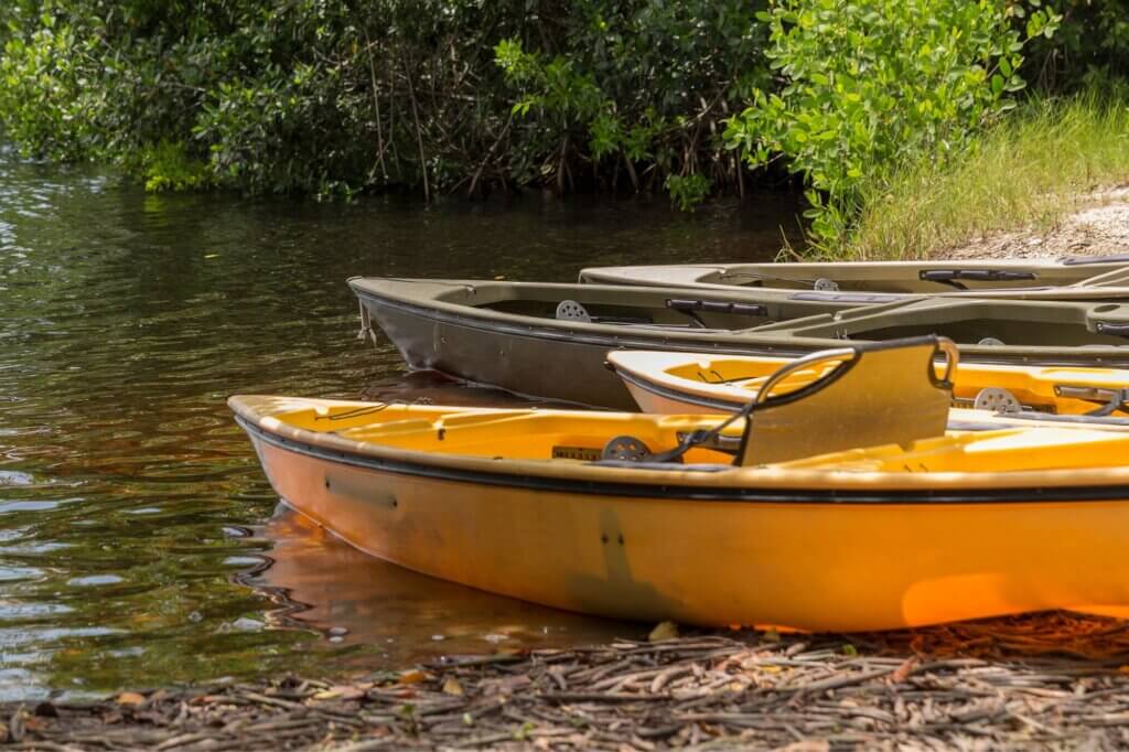 Mit dem Kajak oder Kanu auf dem Touw River im Wilderness Nationalpark