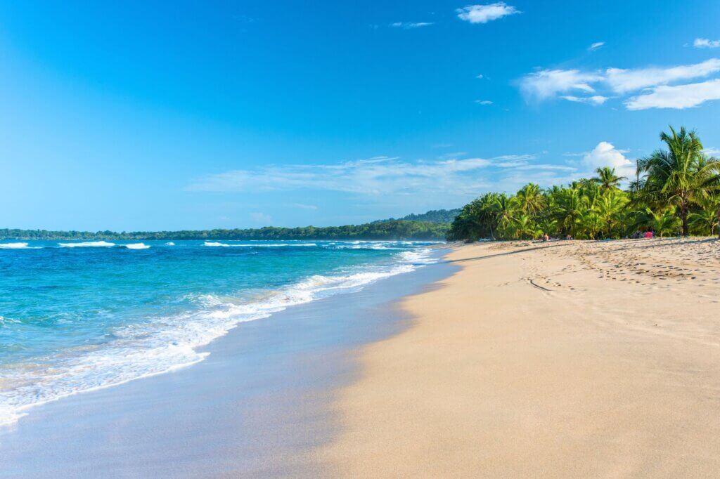 Genieße die Ruhe am palmengesäumten Playa Grande