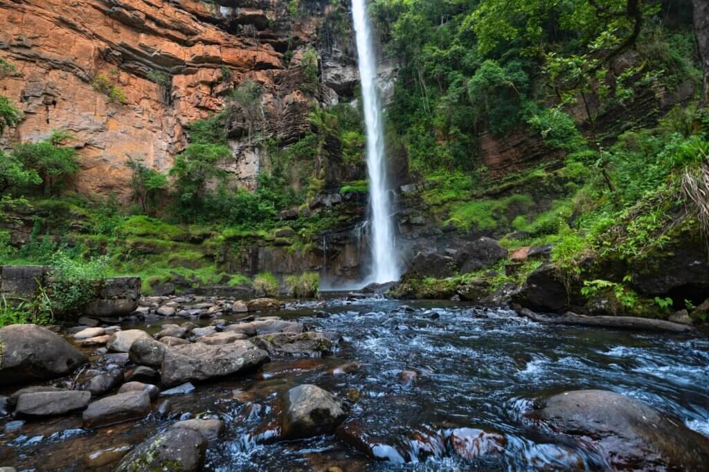 Spaziere durch Regenwald zu den Lone Creek Falls
