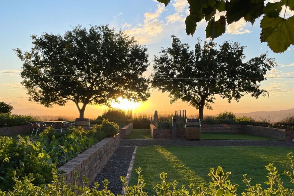 Genieße Bio-Wein mit Blick auf den Helderberg