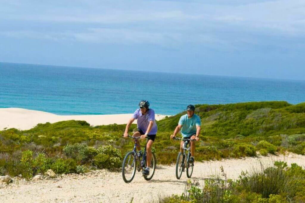 Auf Safari mit dem Mountainbike in De Hoop Nature Reserve