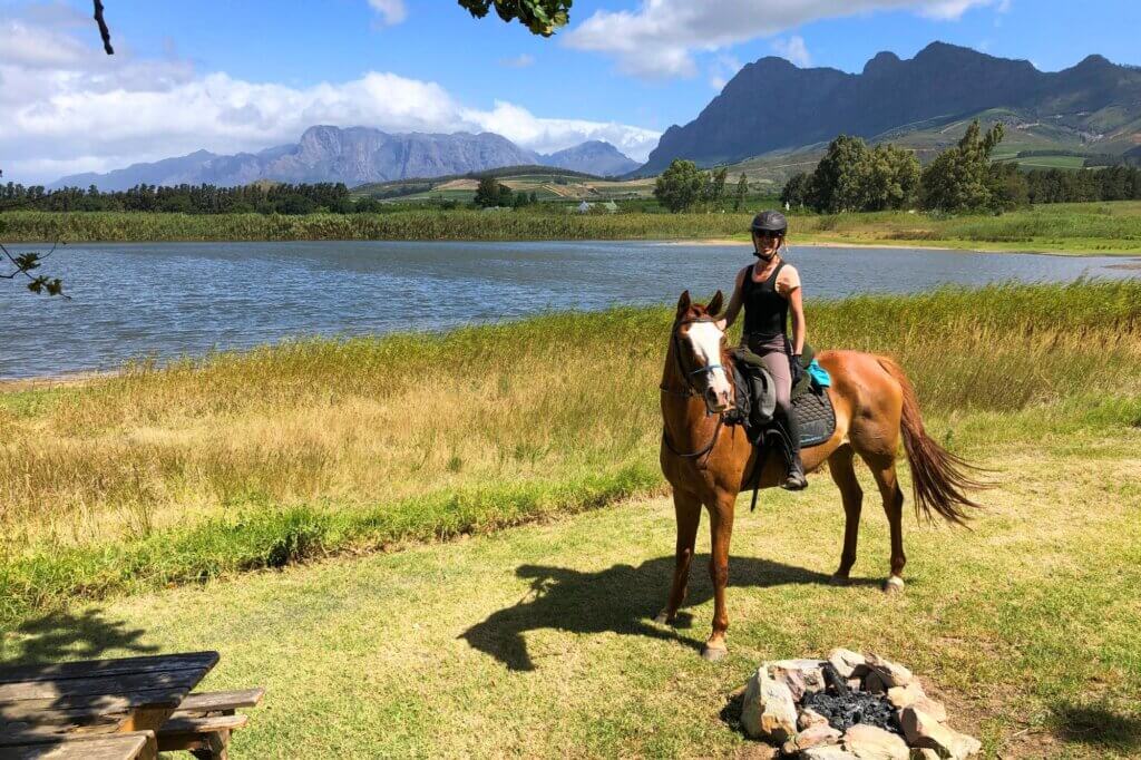 Erlebe die Cape Winelands vom Pferderücken