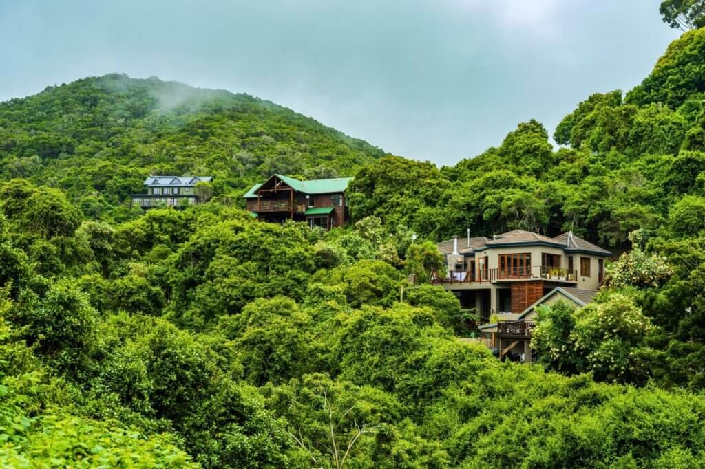 Wilderness: Alles für deine Reiseplanung