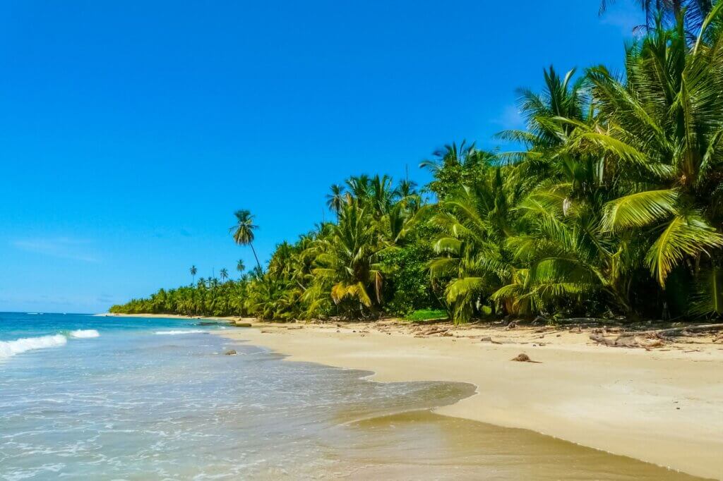Cahuita Nationalpark: Alles für deine Reiseplanung