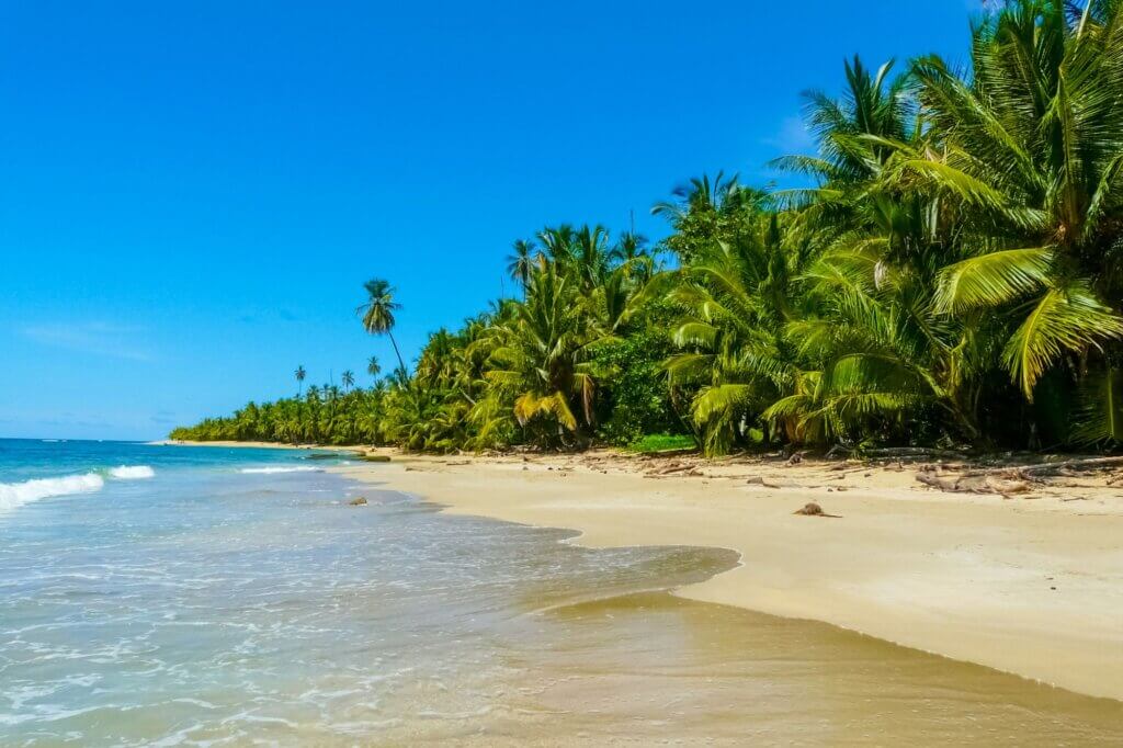 Entdecke die Tierwelt am weißen Strand von Cahuita