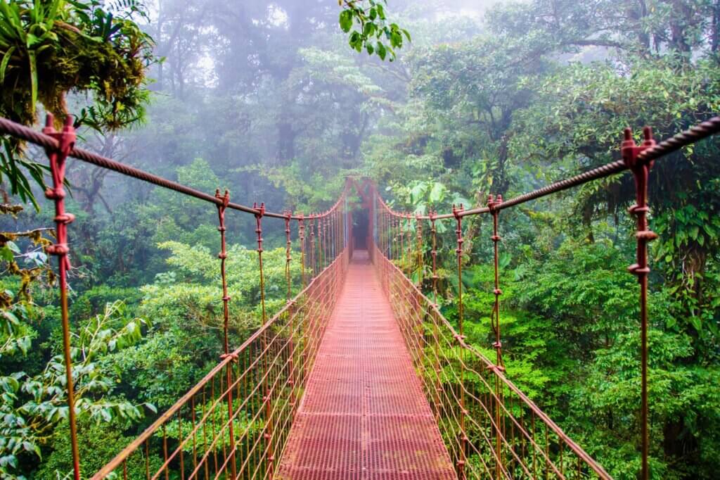 Sehenswürdigkeiten in Monteverde