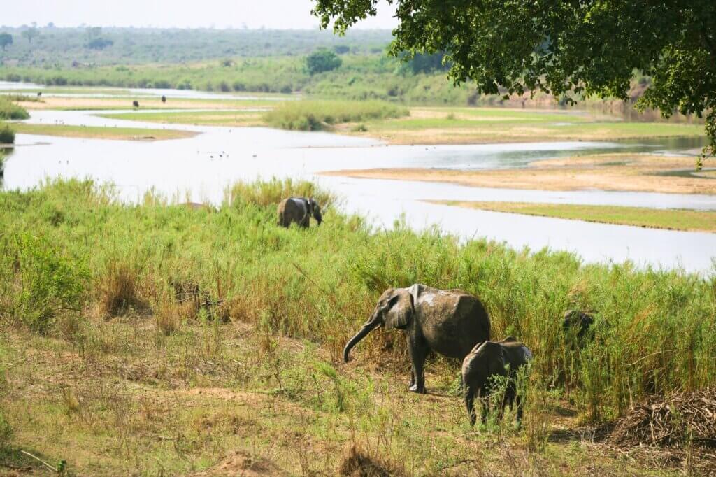 Nkuhlu Picnic Site