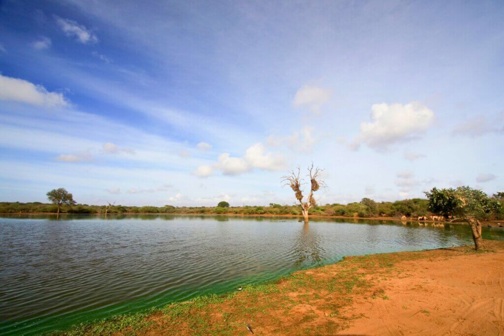 Sunset Dam