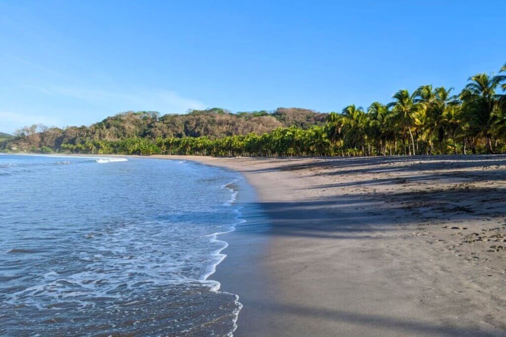 Tanke neue Energie unter Kokospalmen am ruhigen Strand