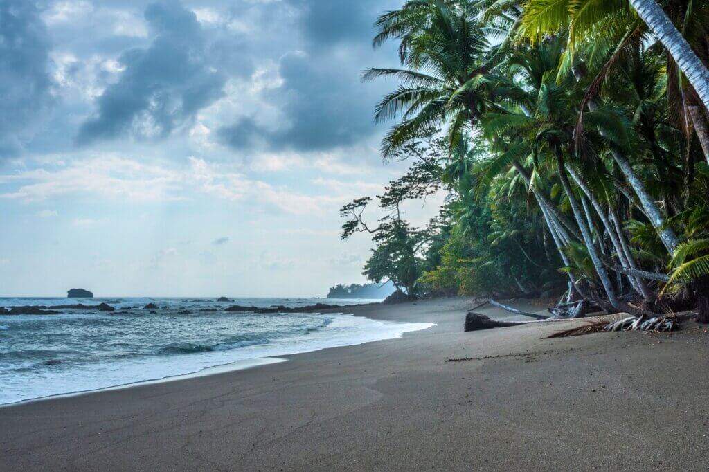 Erlebe einen Tag im wildesten Nationalpark Costa Ricas