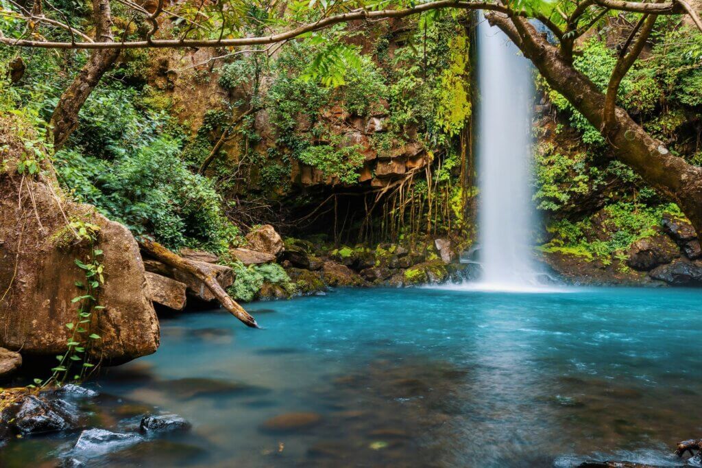 Erlebe einen aktiven Tag zwischen Trockenwald und Wasserfall