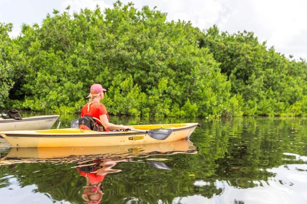 Paddle lautlos durch die Mangroven des Golfo Dulce