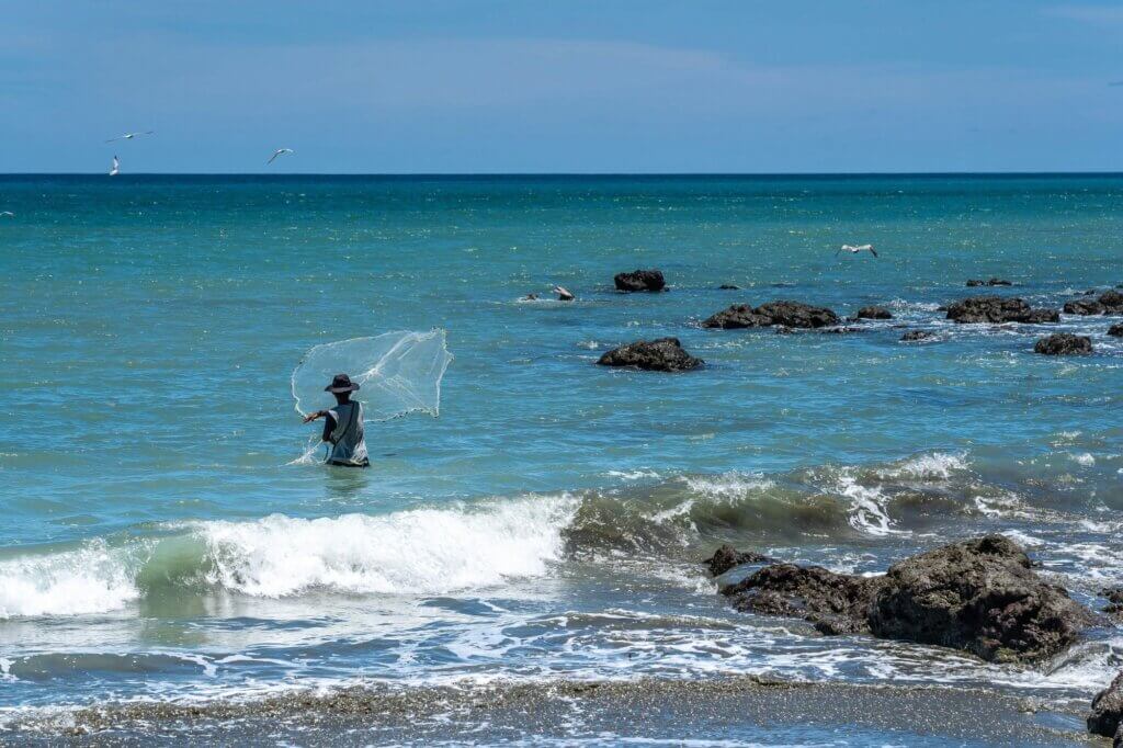 Puerto Jiménez: Alles für deine Reiseplanung