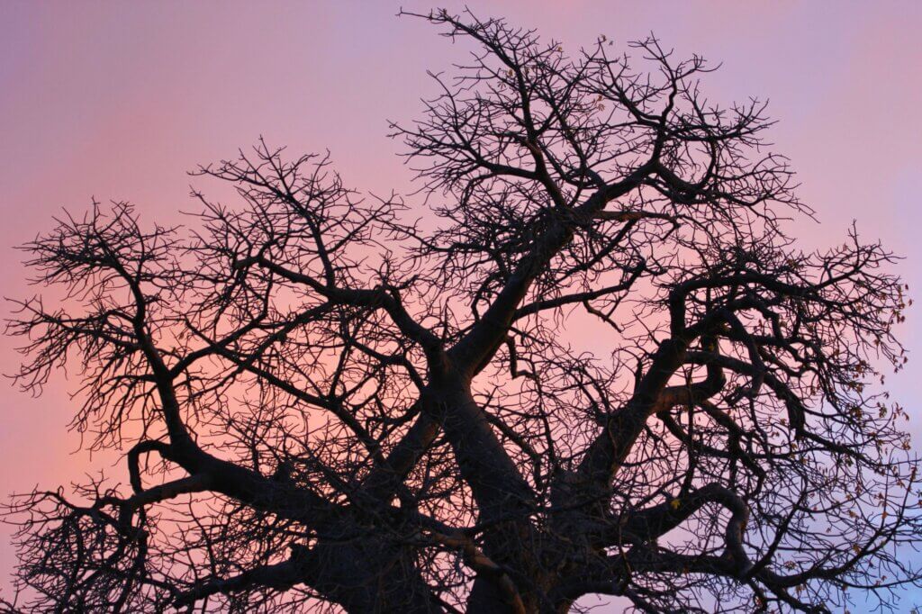 Entdecke den 2.500 Jahre alten Briefkasten mitten in der Wildnis