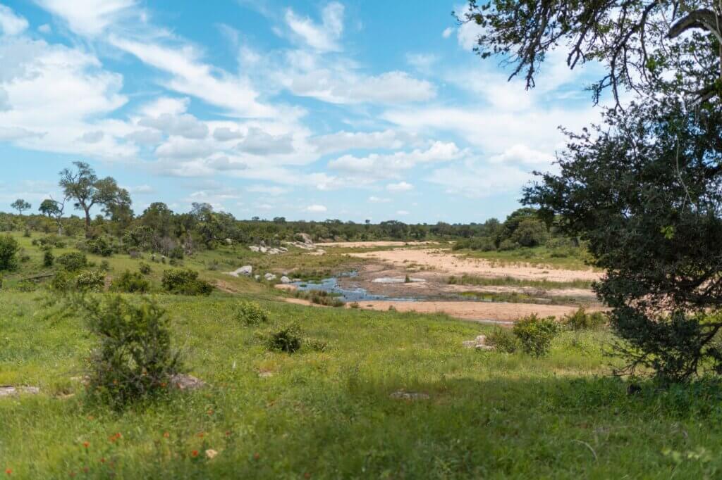 Suche nach Leoparden im Flussbett von einer Brücke aus