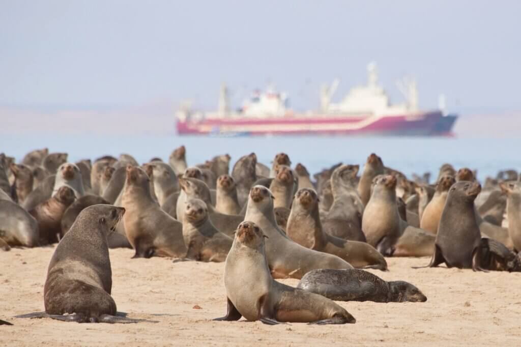 Walvis Bay: Alles für deine Reiseplanung