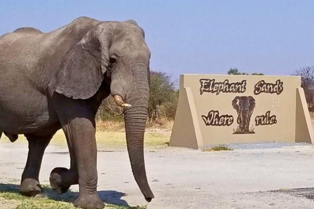 Elephant Sands Campsite