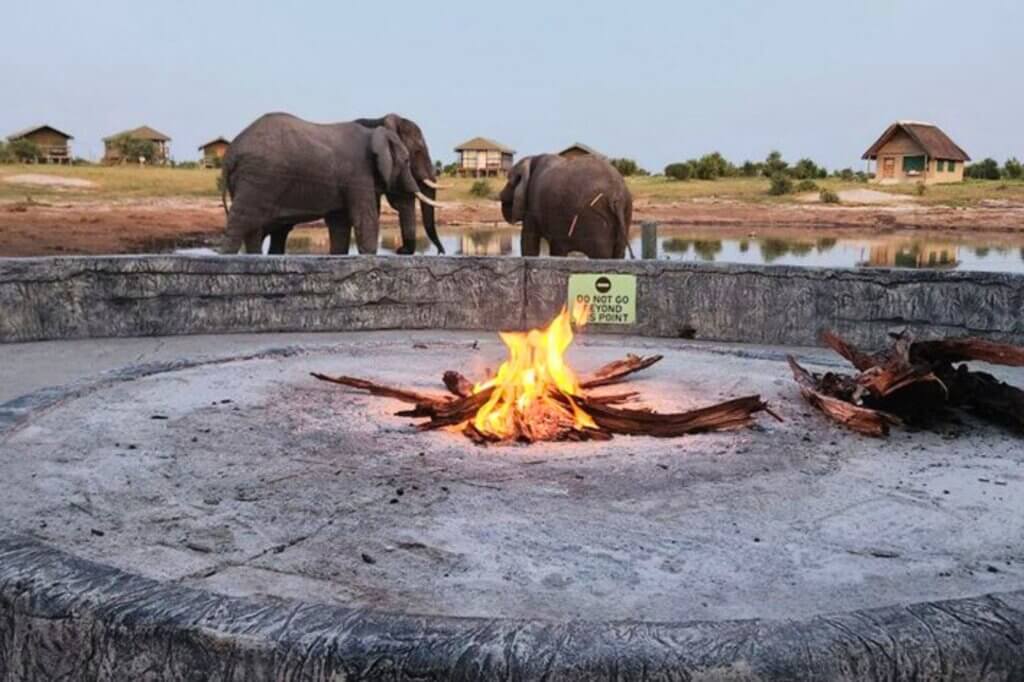 Elephant Sands Lodge
